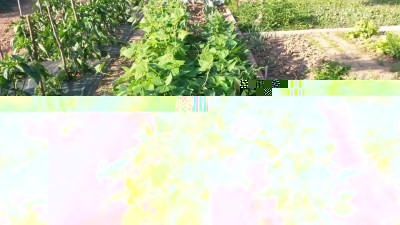 133.jpg (161.75 KiB) Osservato 511 volte 133.jpg