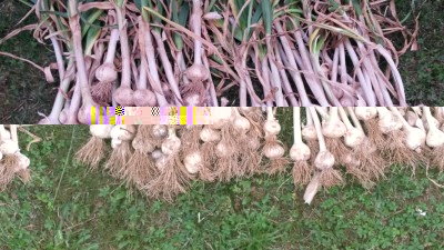 138.jpg (141.05 KiB) Osservato 439 volte 138.jpg