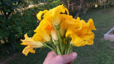 140.jpg (77.97 KiB) Osservato 439 volte 140.jpg