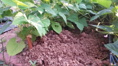 141.jpg (126.16 KiB) Osservato 439 volte 141.jpg