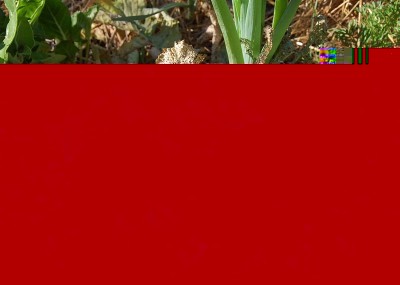 272.JPG (282.97 KiB) Osservato 653 volte 272.JPG