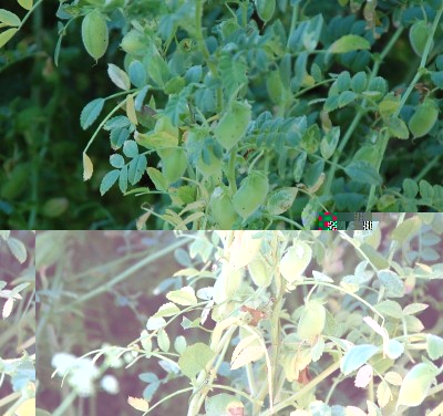 273.JPG (256.74 KiB) Osservato 653 volte 273.JPG