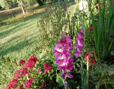 275.JPG (357.63 KiB) Osservato 653 volte 275.JPG