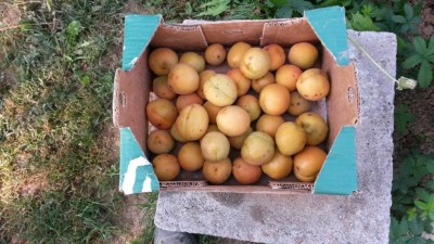 142.jpg (116.15 KiB) Osservato 603 volte 142.jpg