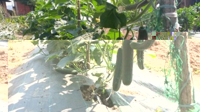 143.jpg (134.78 KiB) Osservato 603 volte 143.jpg