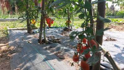 144.jpg (137.78 KiB) Osservato 603 volte 144.jpg