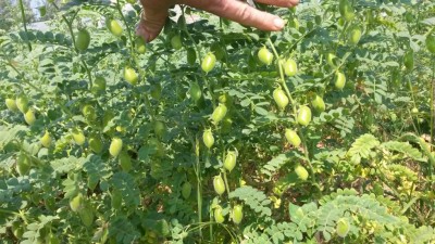 147.jpg (148.85 KiB) Osservato 602 volte 147.jpg