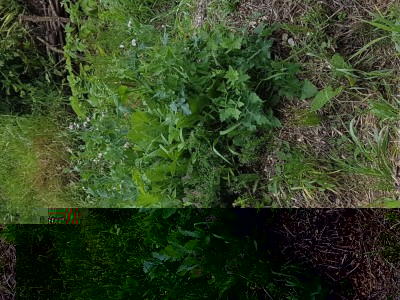 20170624_164505.jpg (228.24 KiB) Osservato 1012 volte 20170624_164505.jpg