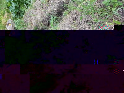 20170624_162523.jpg (303.75 KiB) Osservato 1010 volte 20170624_162523.jpg