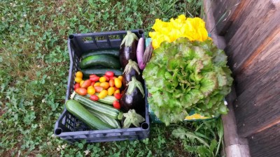 150.jpg (133.99 KiB) Osservato 536 volte 150.jpg