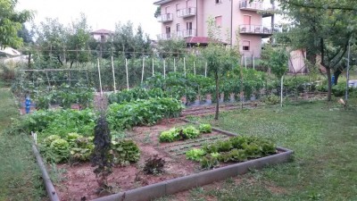 152.jpg (143.86 KiB) Osservato 536 volte 152.jpg