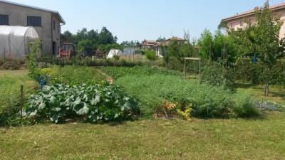 153.jpg (136.77 KiB) Osservato 536 volte 153.jpg