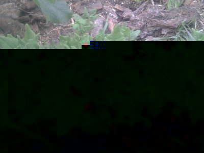 2017-06-24 20.13.19.jpg (100.63 KiB) Osservato 1098 volte 2017-06-24 20.13.19.jpg