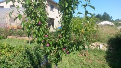 157.jpg (153.21 KiB) Osservato 572 volte 157.jpg