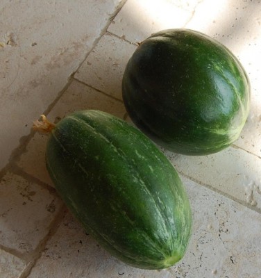 288.JPG (102.92 KiB) Osservato 496 volte 288.JPG