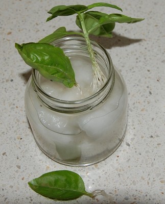 290.JPG (188.8 KiB) Osservato 496 volte 290.JPG