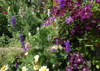 289.JPG (370.85 KiB) Osservato 496 volte 289.JPG