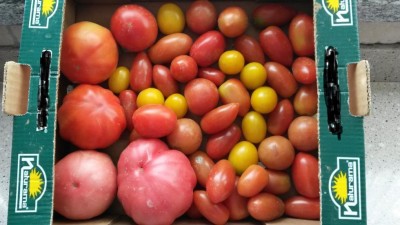 158.jpg (77.02 KiB) Osservato 715 volte 158.jpg