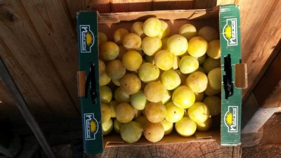 159.jpg (75.38 KiB) Osservato 715 volte 159.jpg