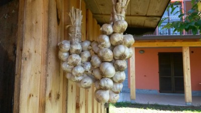 160.jpg (73.14 KiB) Osservato 715 volte 160.jpg