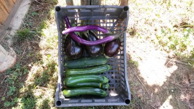 162.jpg (138.48 KiB) Osservato 621 volte 162.jpg