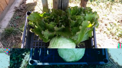 163.jpg (116.79 KiB) Osservato 621 volte 163.jpg