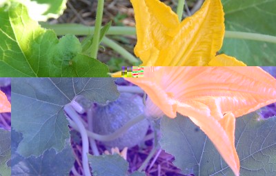 300.JPG (170.97 KiB) Osservato 577 volte 300.JPG