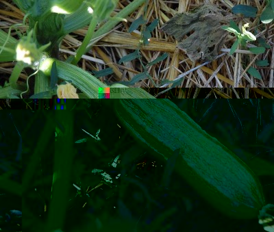 301.JPG (279.46 KiB) Osservato 577 volte 301.JPG