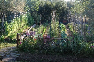 302.JPG (321.91 KiB) Osservato 555 volte 302.JPG