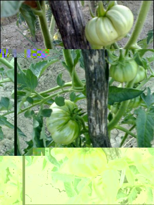 Arletta / 26062017arletta.jpg 26062017arletta.jpg