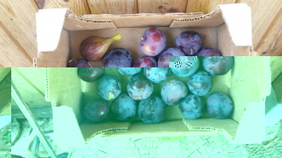 168.jpg (70.32 KiB) Osservato 580 volte 168.jpg