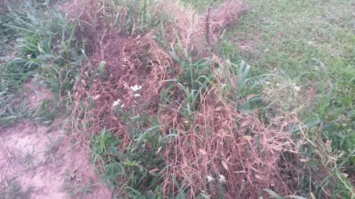 169.jpg (112.09 KiB) Osservato 580 volte 169.jpg