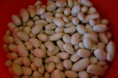 306.JPG (51.13 KiB) Osservato 463 volte 306.JPG