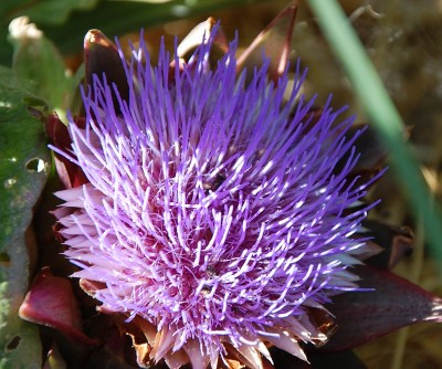 314.JPG (261.54 KiB) Osservato 627 volte 314.JPG