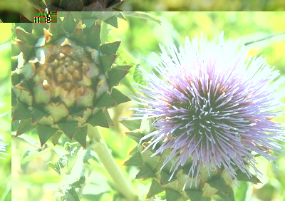 315.JPG (229.54 KiB) Osservato 627 volte 315.JPG