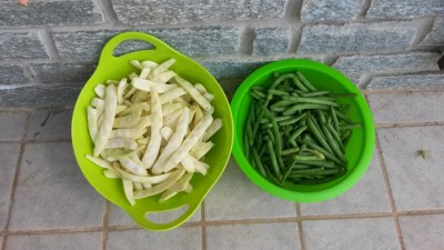 174.jpg (88.61 KiB) Osservato 628 volte 174.jpg