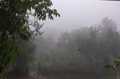 323.JPG (170.42 KiB) Osservato 592 volte 323.JPG