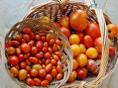 325.JPG (254.81 KiB) Osservato 560 volte 325.JPG