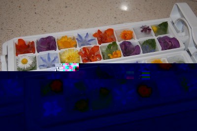 329.JPG (184.01 KiB) Osservato 554 volte 329.JPG