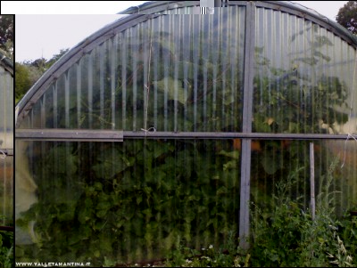 03072017esterno-serra.jpg (194.11 KiB) Osservato 584 volte 03072017esterno-serra.jpg