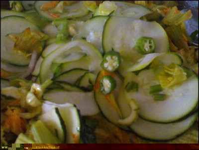 05072017zucchine-okra.jpg (169.71 KiB) Osservato 581 volte 05072017zucchine-okra.jpg