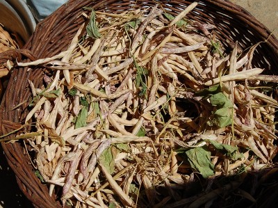 334.JPG (367.41 KiB) Osservato 681 volte 334.JPG