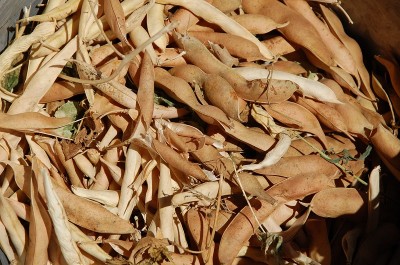 335.JPG (271.36 KiB) Osservato 681 volte 335.JPG