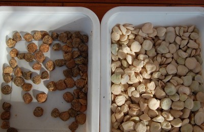 336.JPG (189.6 KiB) Osservato 681 volte 336.JPG