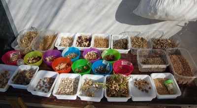 337.JPG (213.01 KiB) Osservato 681 volte 337.JPG