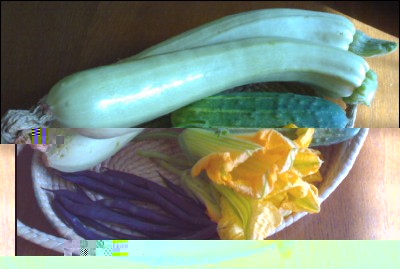 09072017raccolto.jpg (153.53 KiB) Osservato 535 volte 09072017raccolto.jpg