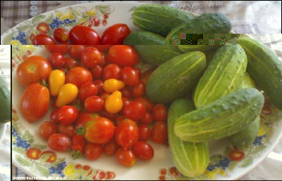 11072017raccolto.jpg (167.08 KiB) Osservato 535 volte 11072017raccolto.jpg