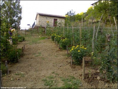 12072017orto2.jpg (247.2 KiB) Osservato 654 volte 12072017orto2.jpg