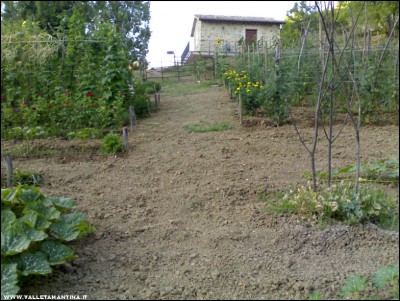 12072017orto.jpg (267.26 KiB) Osservato 654 volte 12072017orto.jpg