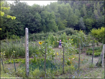 12072017panoramica.jpg (267.51 KiB) Osservato 654 volte 12072017panoramica.jpg